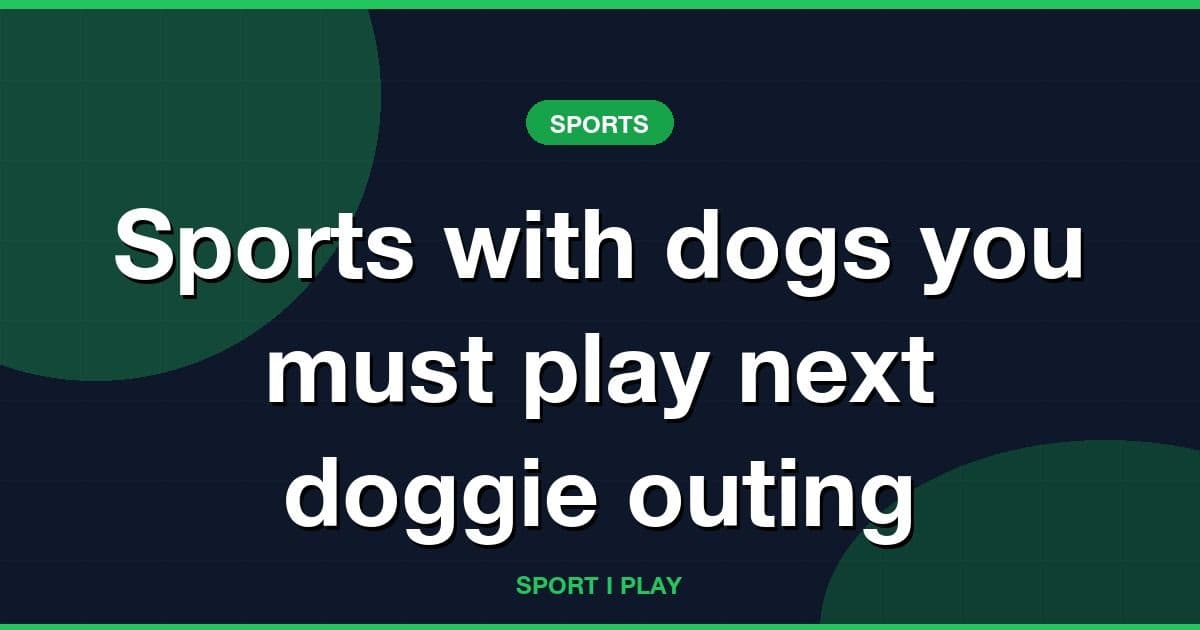Sports with dogs you must play next doggie outing